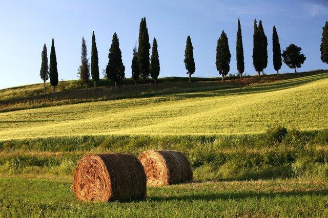 Palazzo Alle Mura Staggia Esterno foto